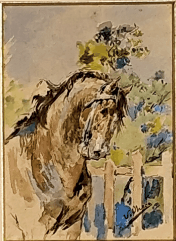 ESTUDIO DE CABEZA DE CABALLO